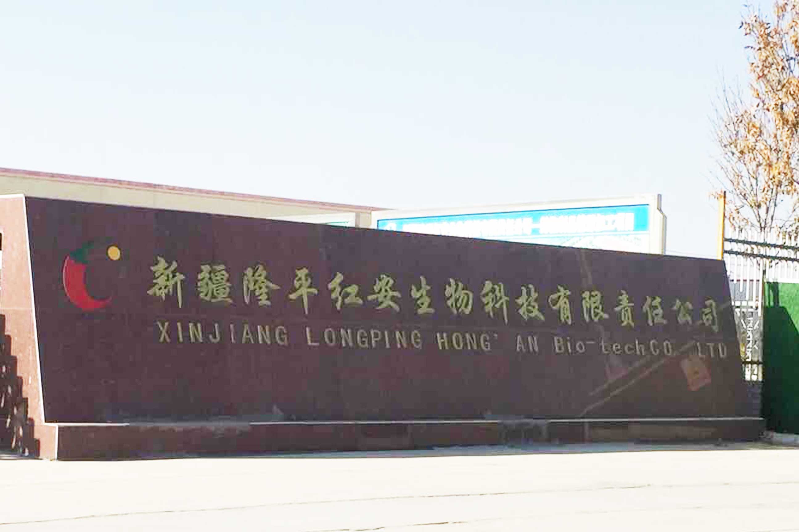 新疆隆平紅安生物工廠電磁鍋爐供暖